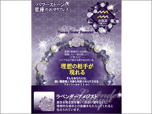 【星座のお守りブレス】アメジスト　理想の相手が現れる/水瓶座【6個】