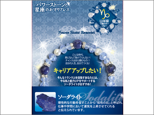 【星座のお守りブレス】ソーダライト　キャリアアップしたい/山羊座【6個】